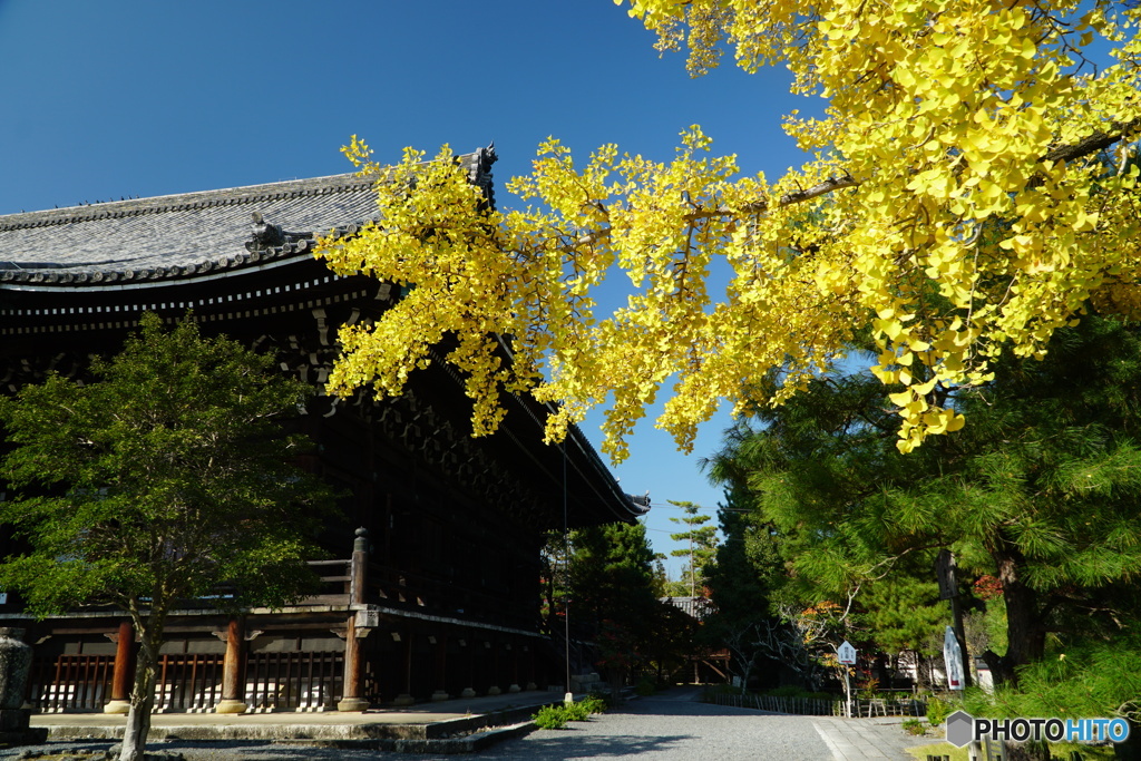 嵯峨野清凉寺