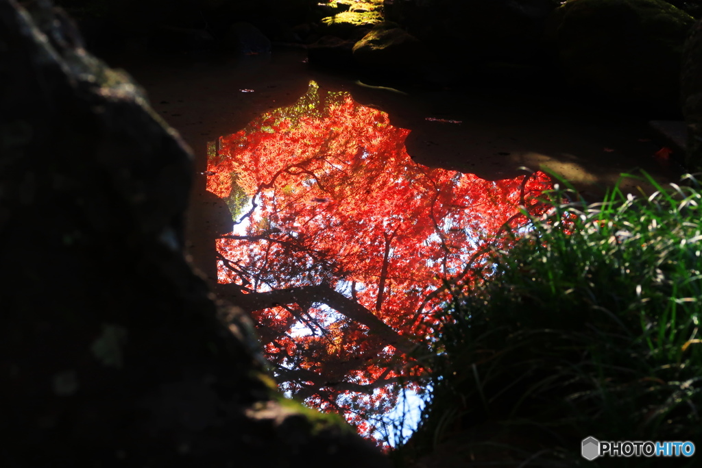 紅葉水鏡