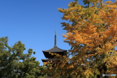 東寺の秋２