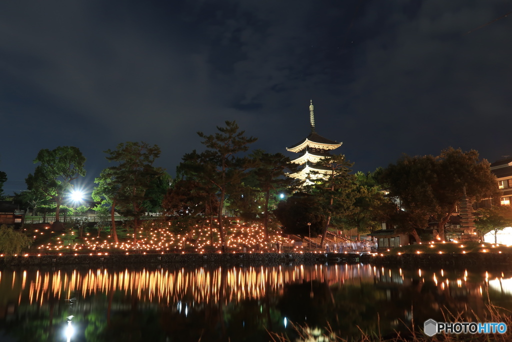 猿沢池の夜