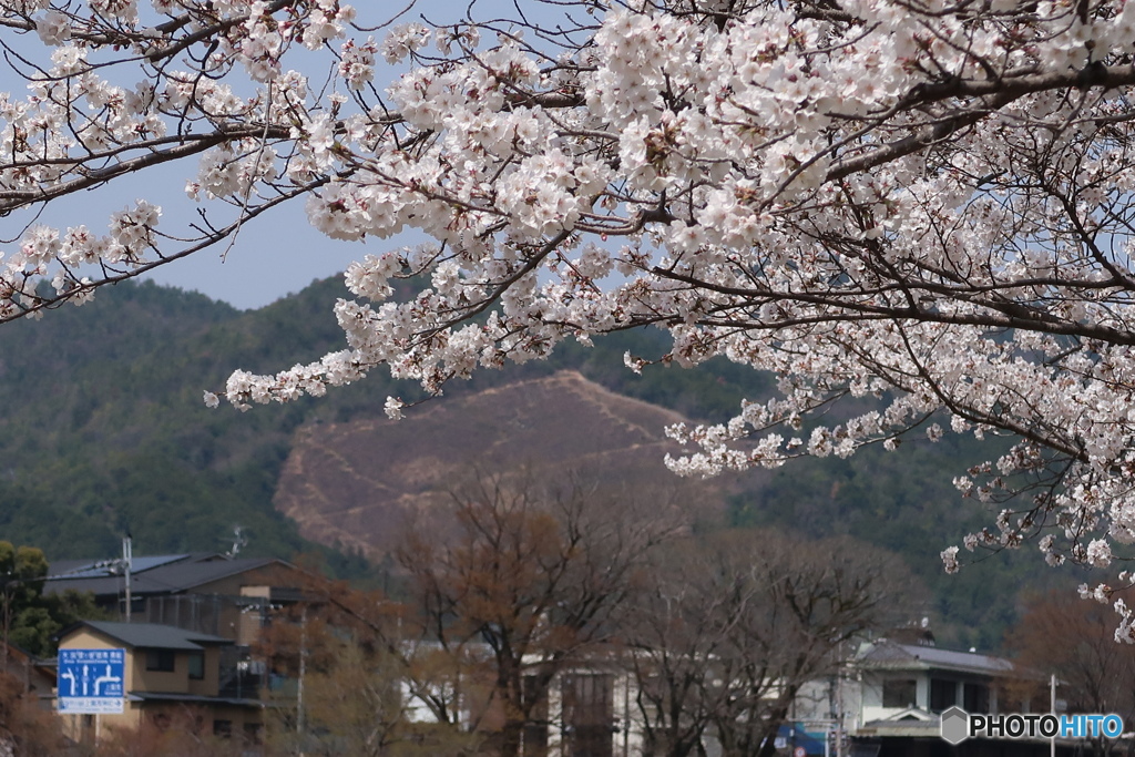 船形を望む