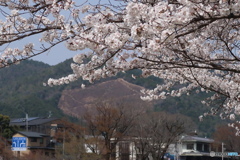 船形を望む