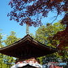 壇上伽藍東塔