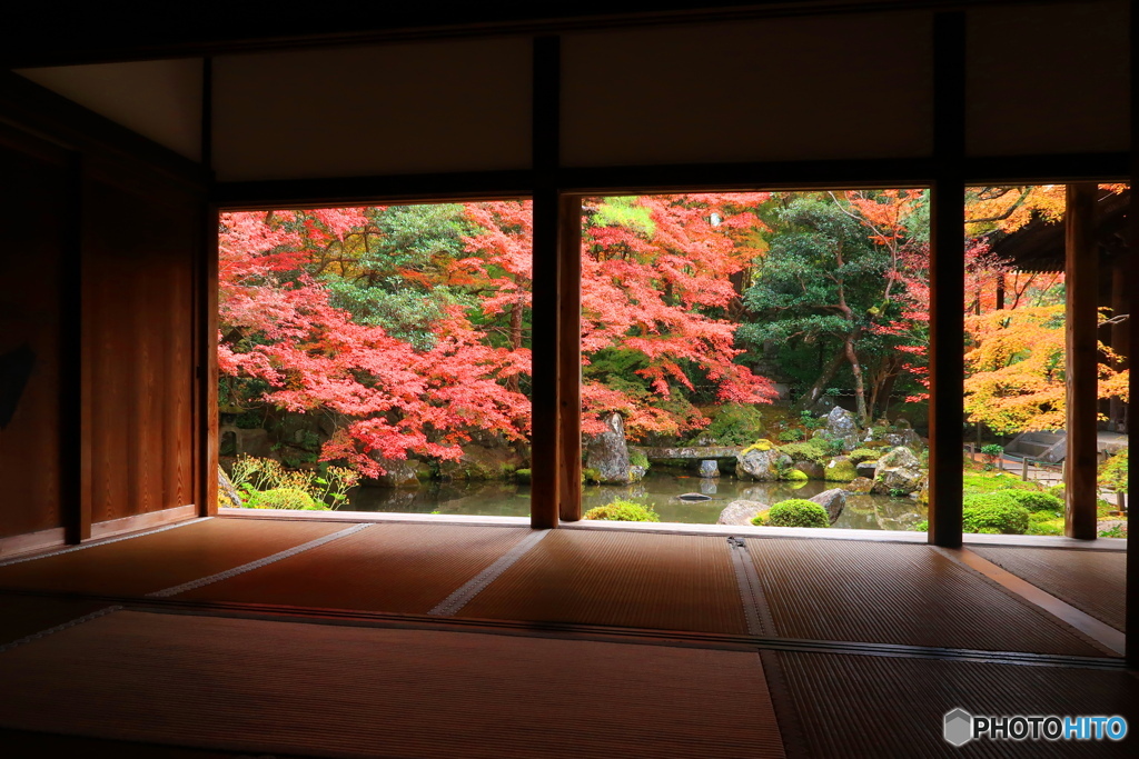 京都蓮華寺