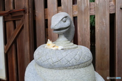 巳年ですね。