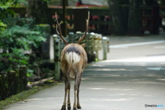 男の哀愁