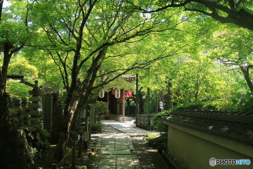 初夏の化野念仏寺