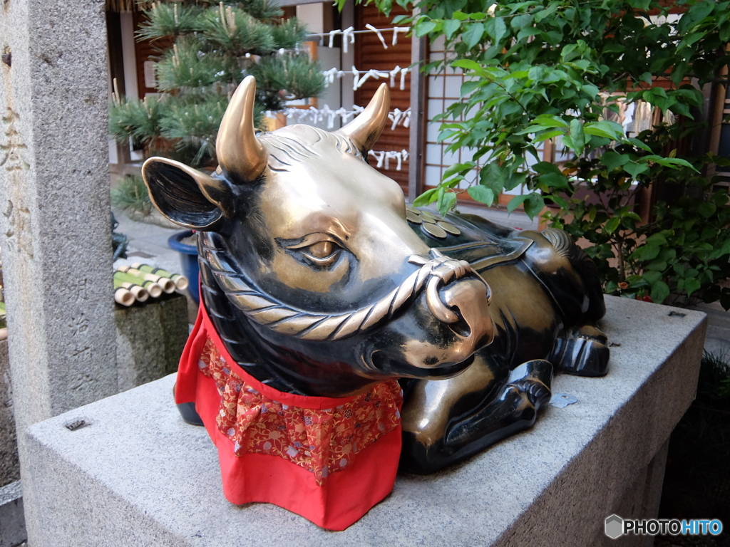 丑年サヨウナラ