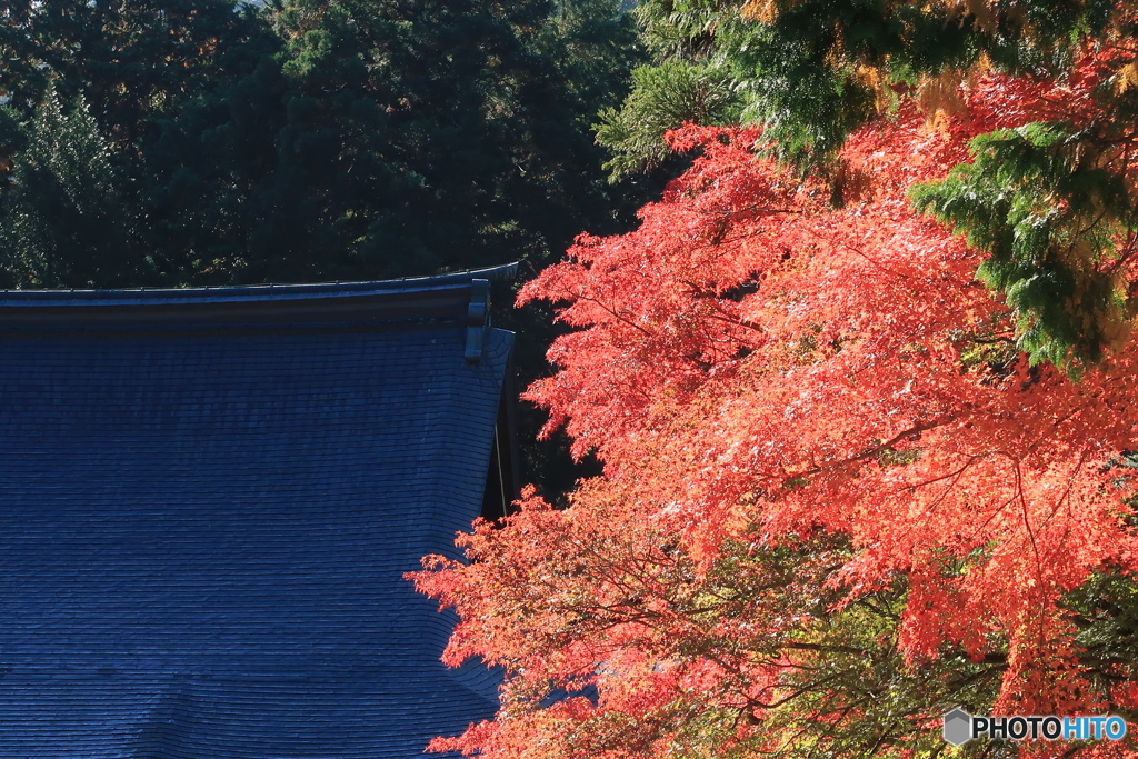 藍と紅