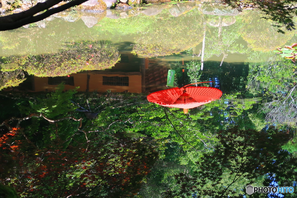 水面鏡