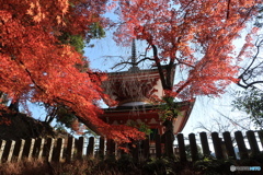 鞍馬寺多宝塔