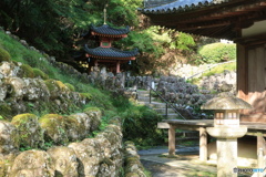 愛宕念仏寺境内