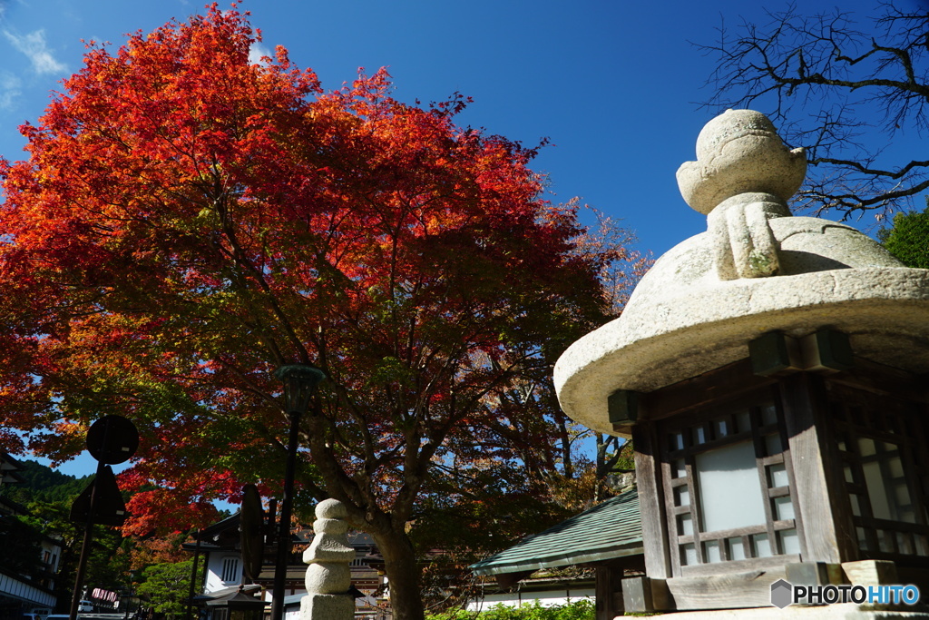 秋晴れの高野山