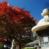 秋晴れの高野山