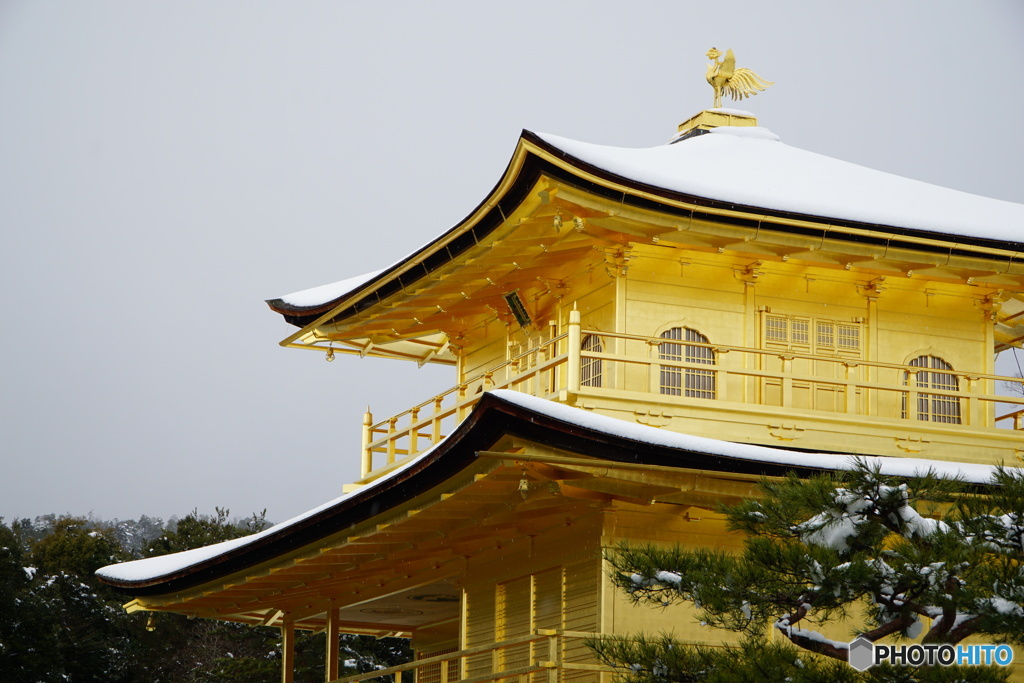 金色白色