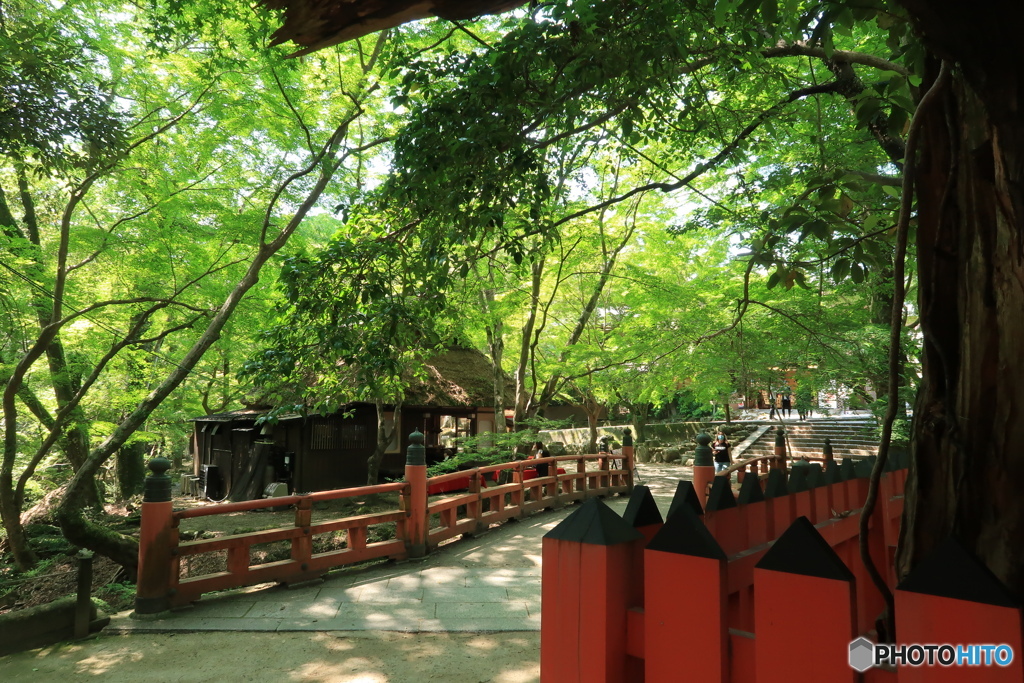 水谷神社より茶屋を望む