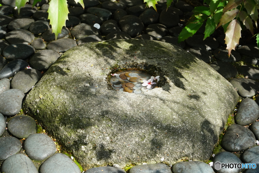 京都のヘソ