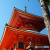 仰ぎ見る大塔