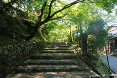 念仏寺への路