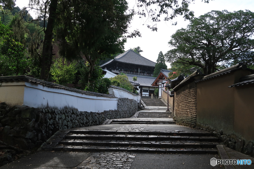 朝の参道