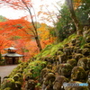 奥嵯峨野の秋