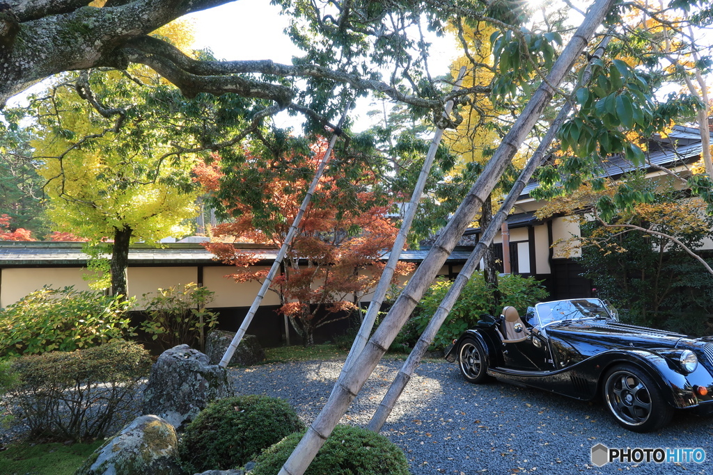 旧車のある庭