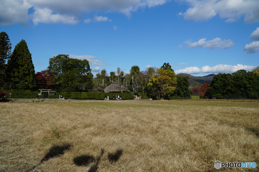 ある日の嵯峨野