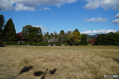 ある日の嵯峨野