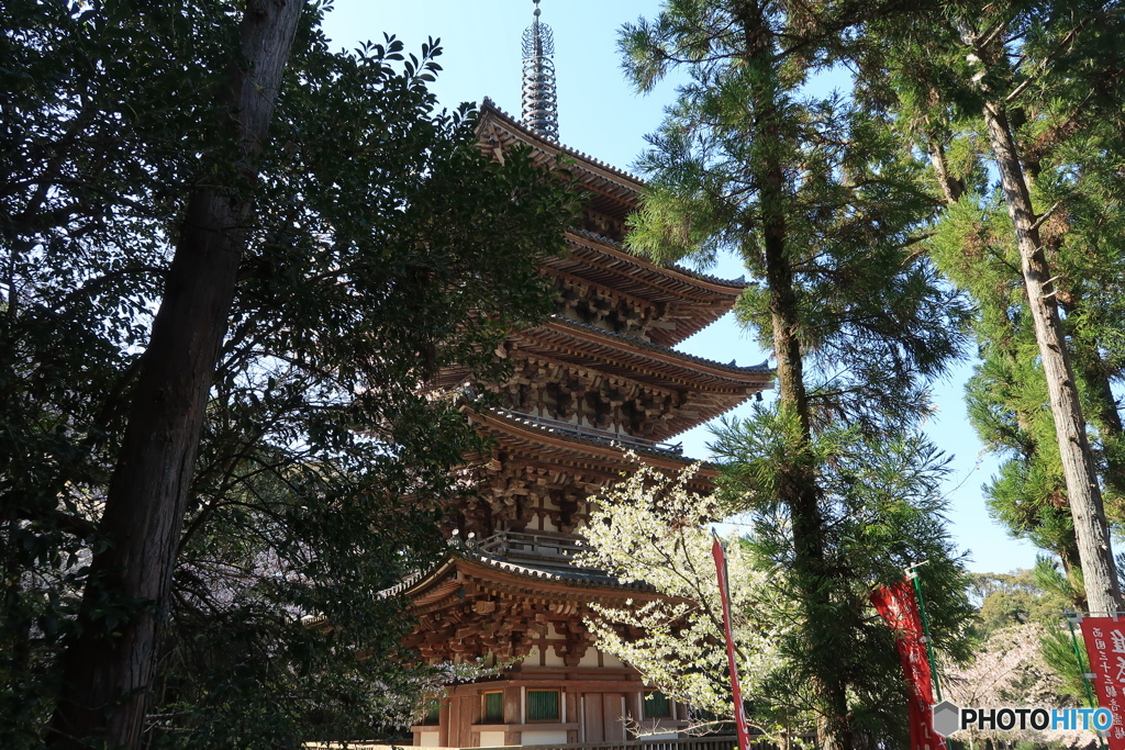 醍醐寺五重塔
