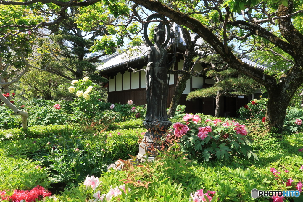花の寺