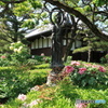 花の寺
