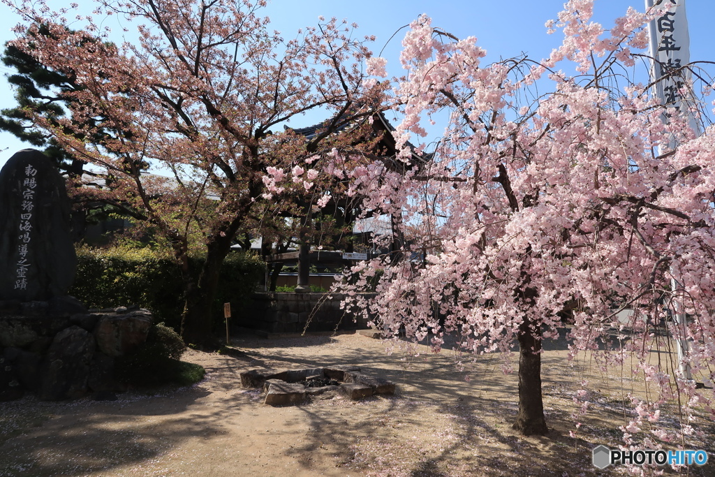 京都妙顕寺３