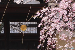 艶やか