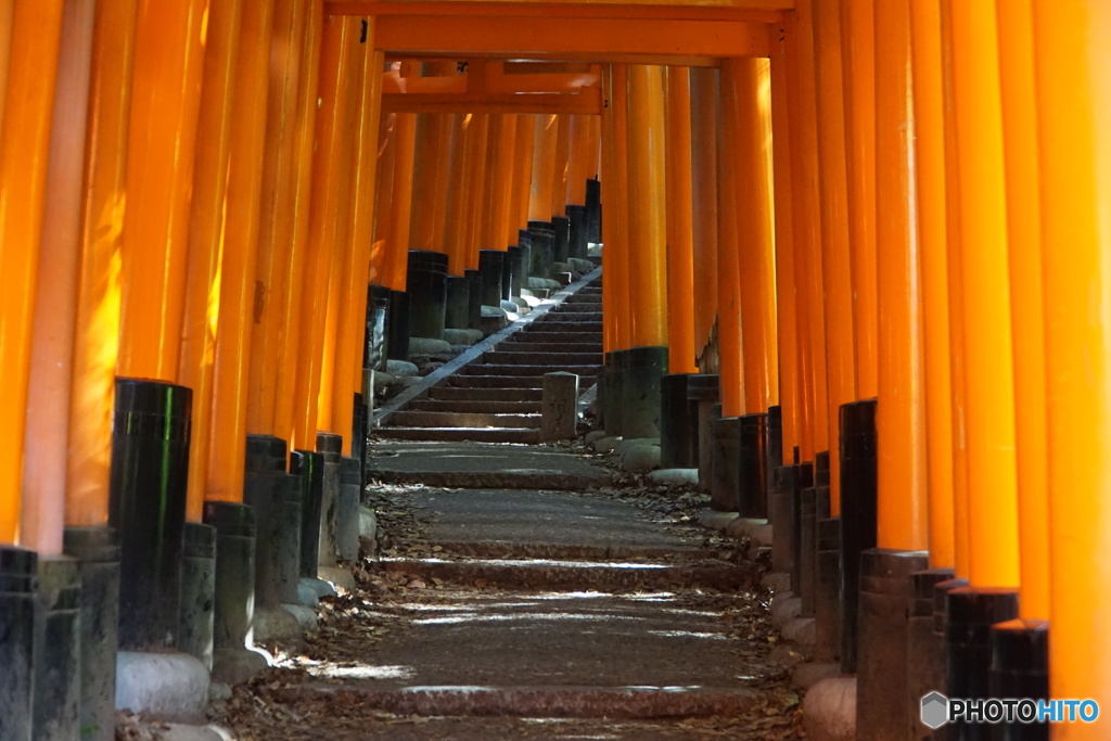 稲荷山への道