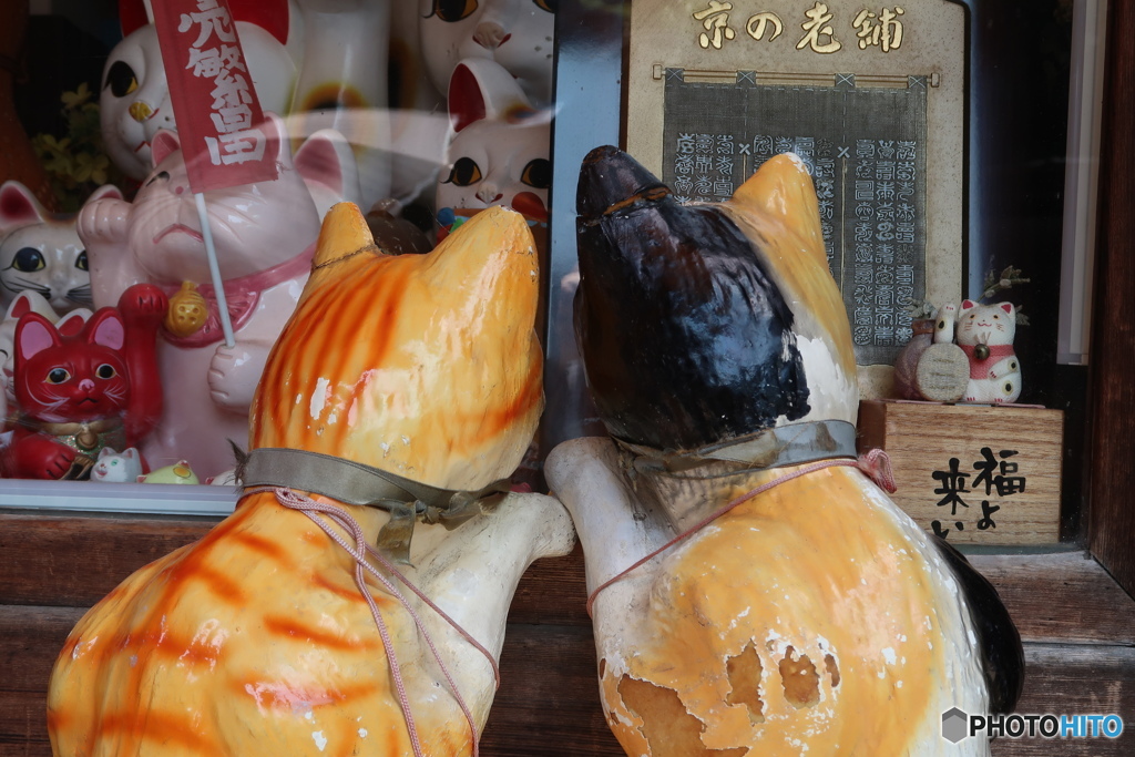 ごにょごにょ