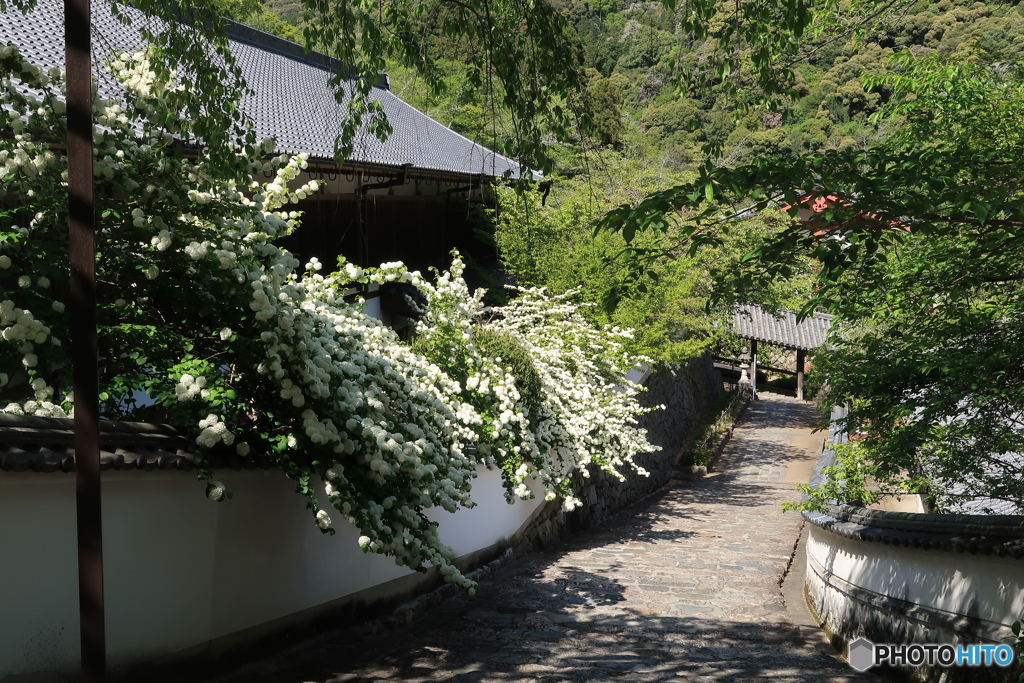 登廊へ至る路
