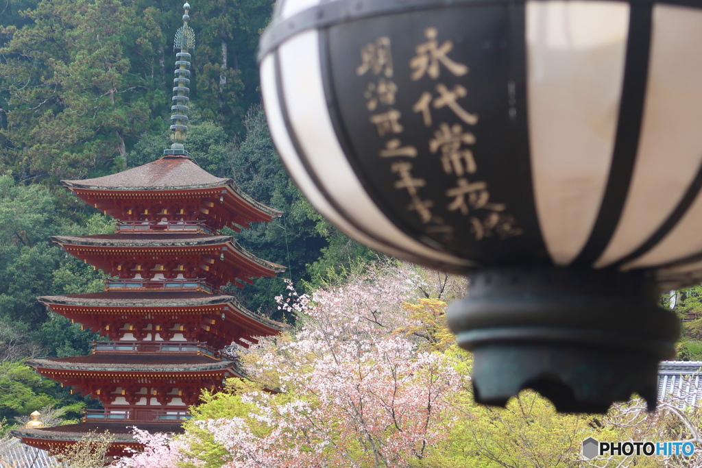 花の御寺