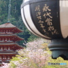 花の御寺