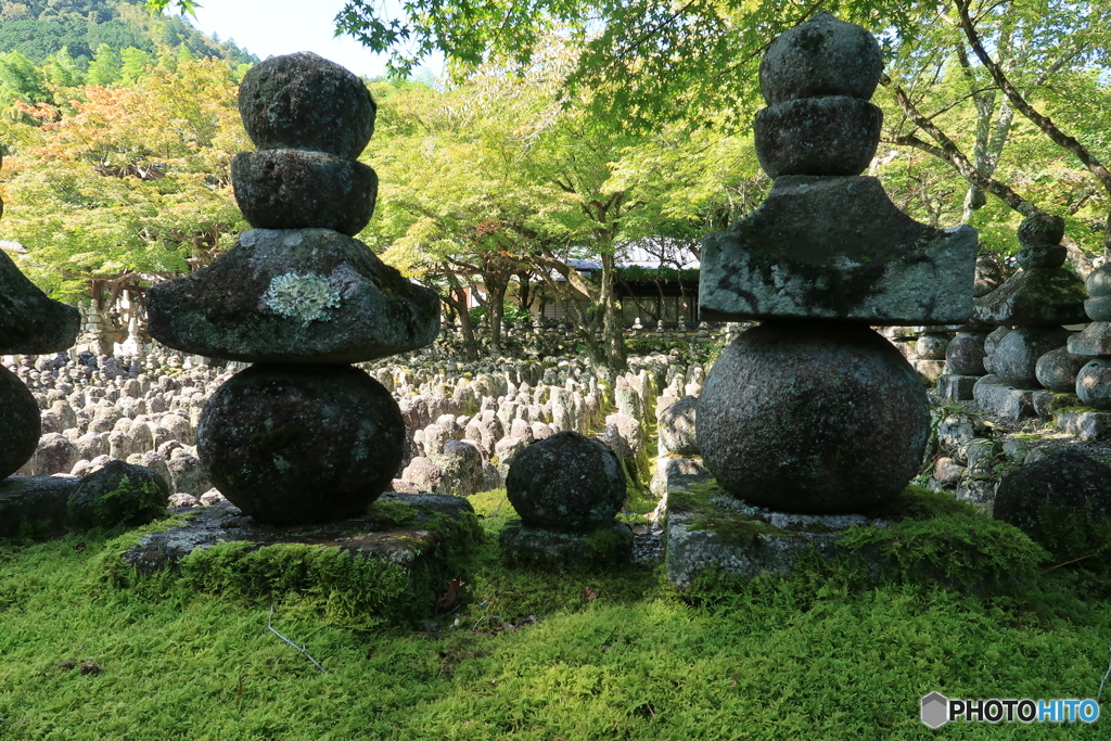 西院の河原を望む