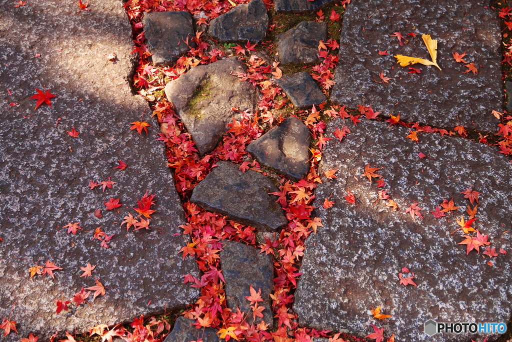 晩秋の石畳