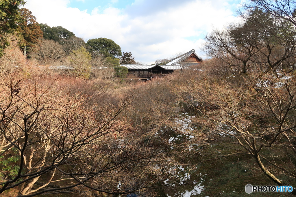 東福寺通天橋冬