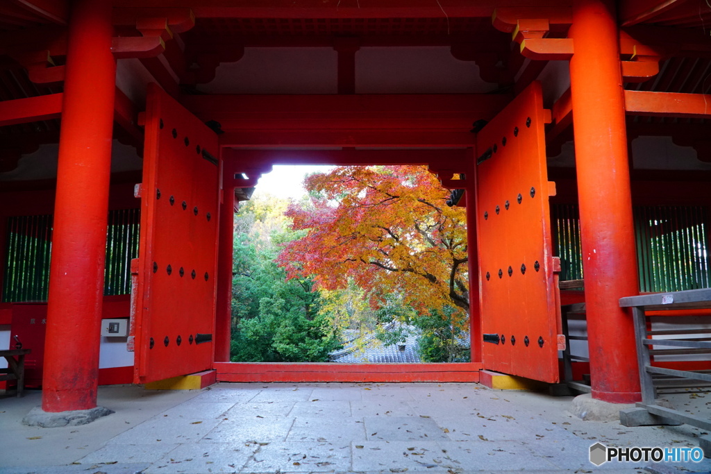 開門