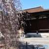 京都千本釈迦堂
