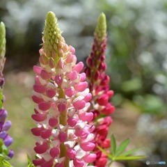 IMG_20190418_192843_701