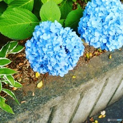 IMG_20210605_153943_923
