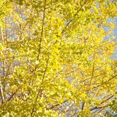 IMG_20201122_195155_835