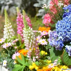 IMG_20190418_192843_656