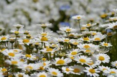 IMG_20190418_180623
