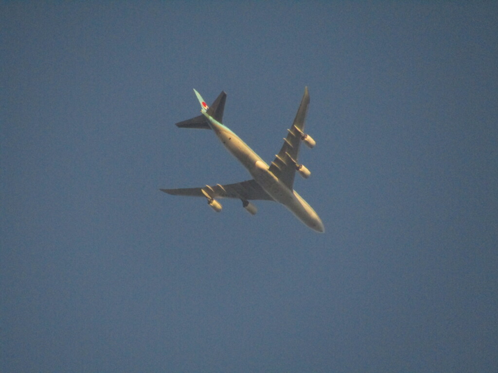 頭上の飛行機