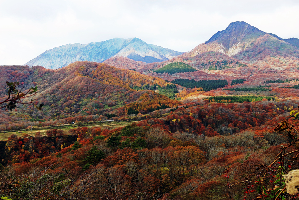 大山･蒜山の紅葉 ②